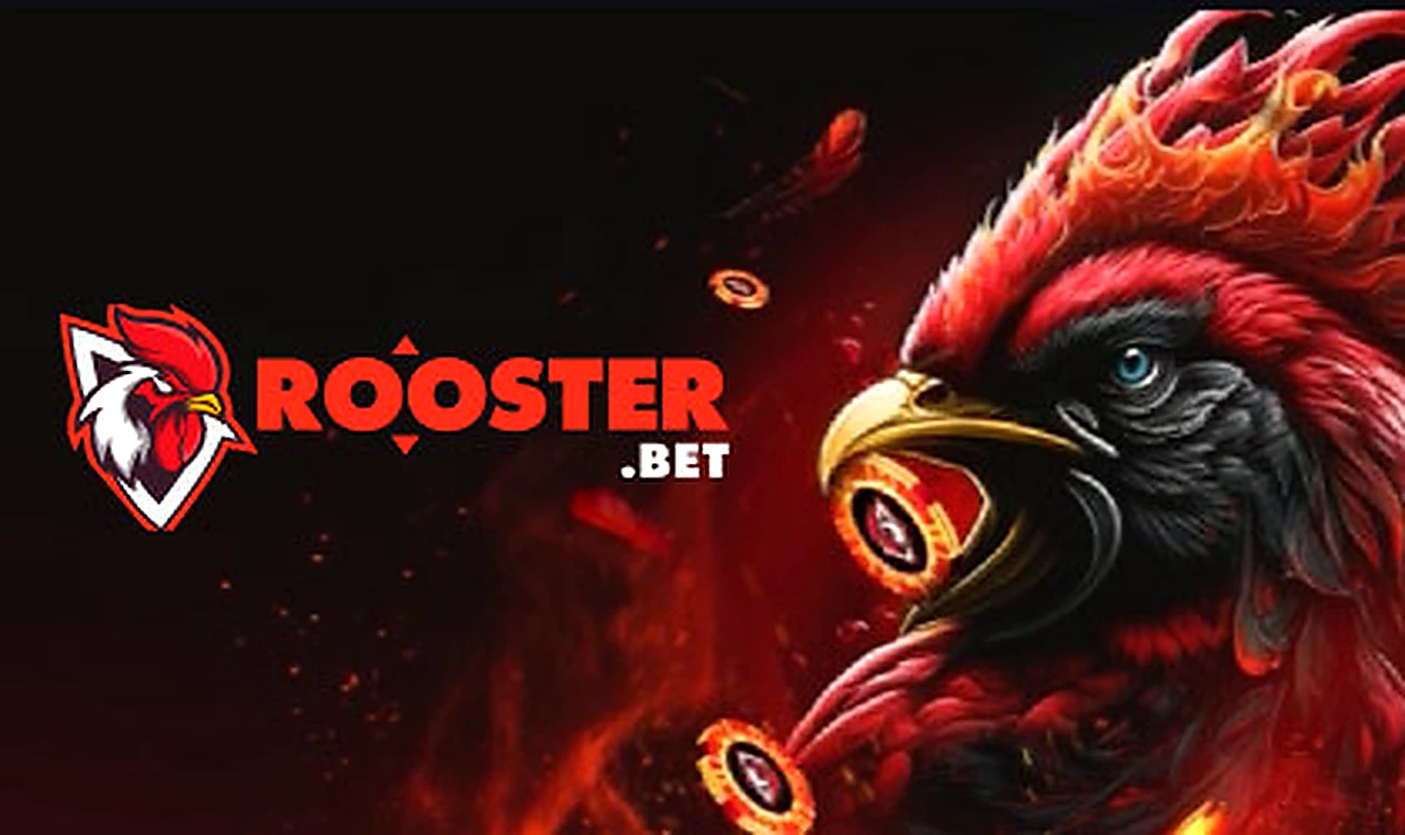 Rooster Bet – sicheres Online Casino Österreich